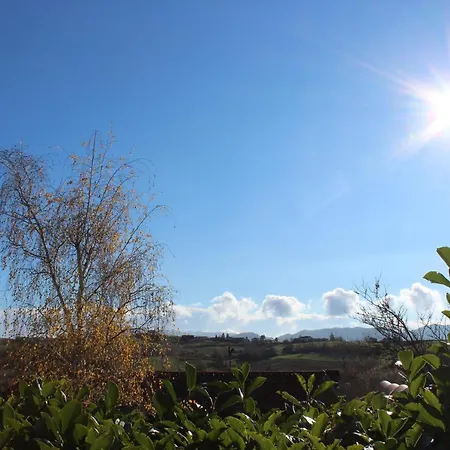 לינה וארוחת בוקר Auditorium